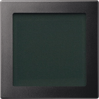 MTN587014,Central plate with window, anthracite, System M