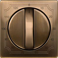 MTN538443,Central plate for time switch insert, 120 min