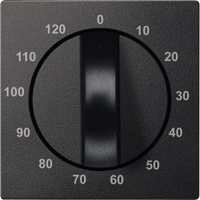 MTN539214,Central plate for time switch insert, 120 min, anthracite,System M